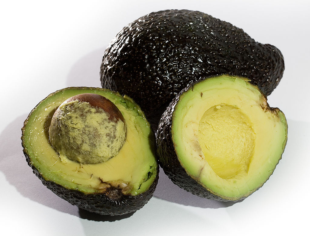 Avocado "Hass"