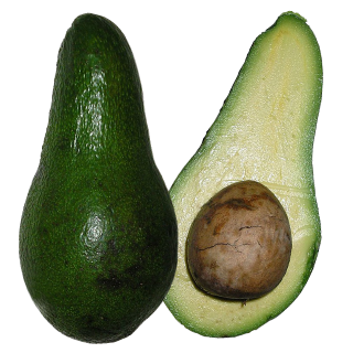 Avocado