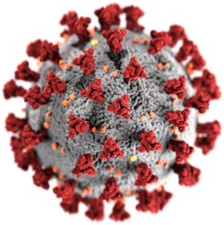 Corona-Virus